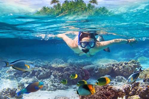 Snorkeling In The Bahamas